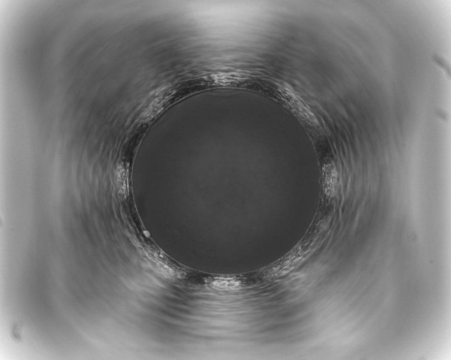 X0000093400471200711020938