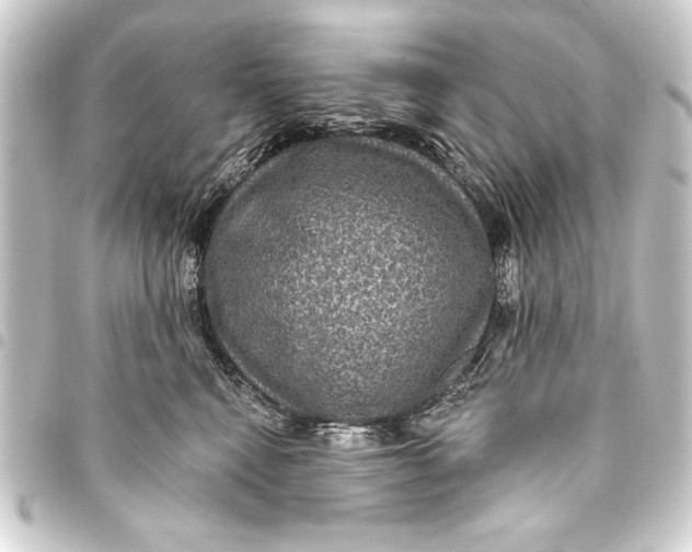 X0000093400472200711020938