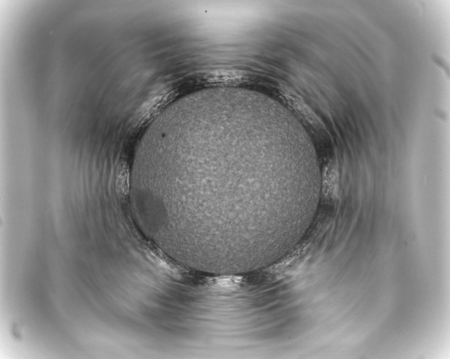 X0000093400474200711020938