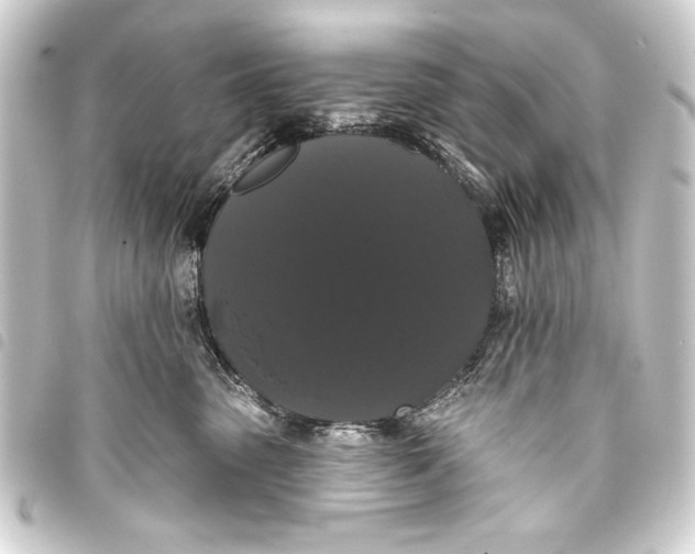 X0000093400475200711020938