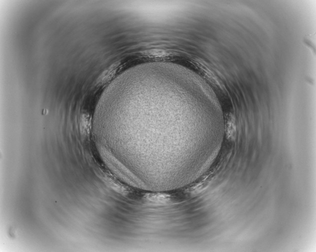 X0000093400476200711020938