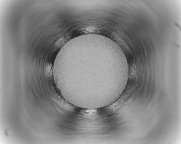 X0000093400478200711020938