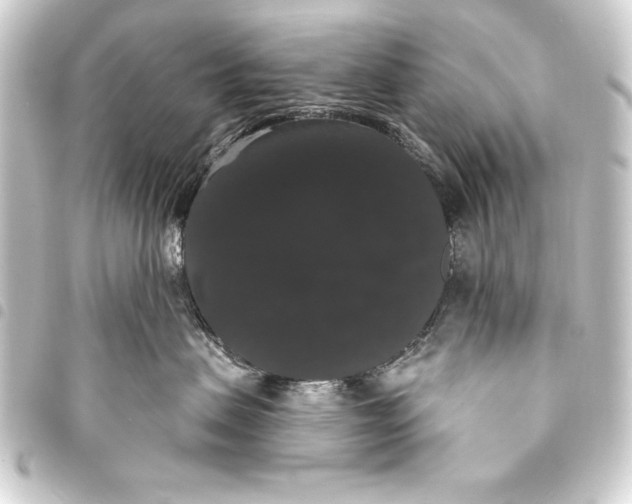 X0000093400479200711020938