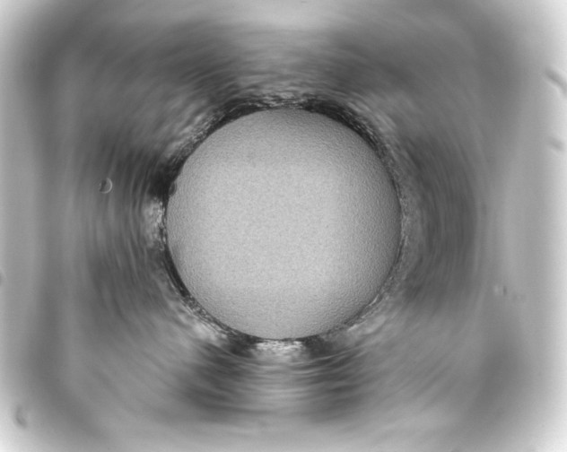 X0000093400480200711020938