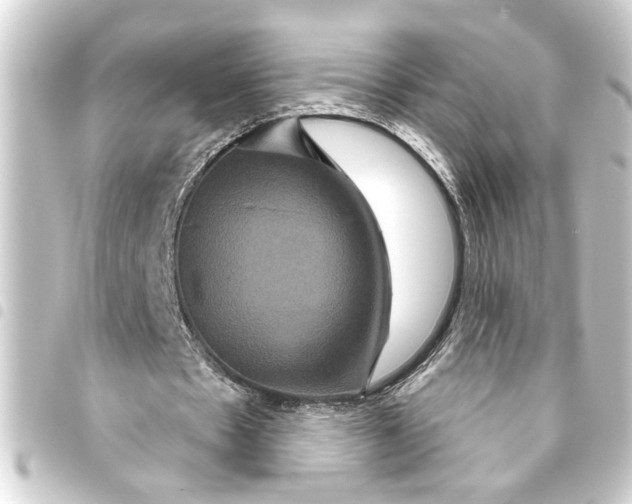 X0000093400481200711020938