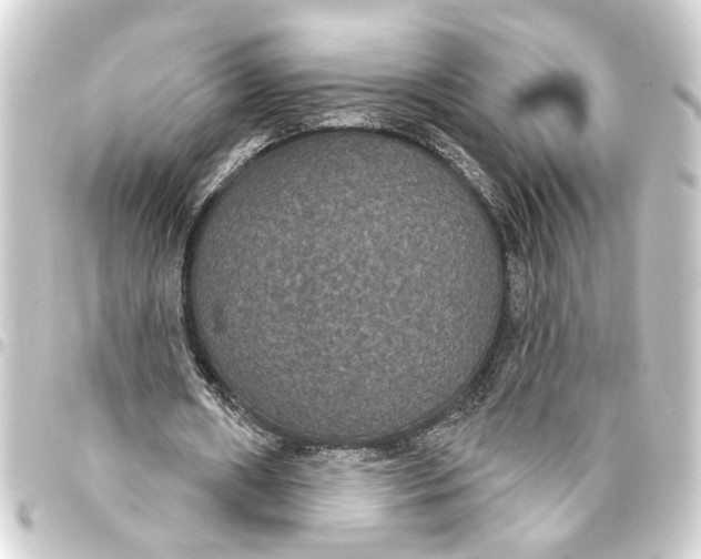 X0000093400482200711020938