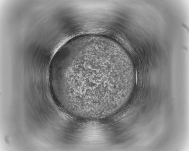 X0000093400483200711020938