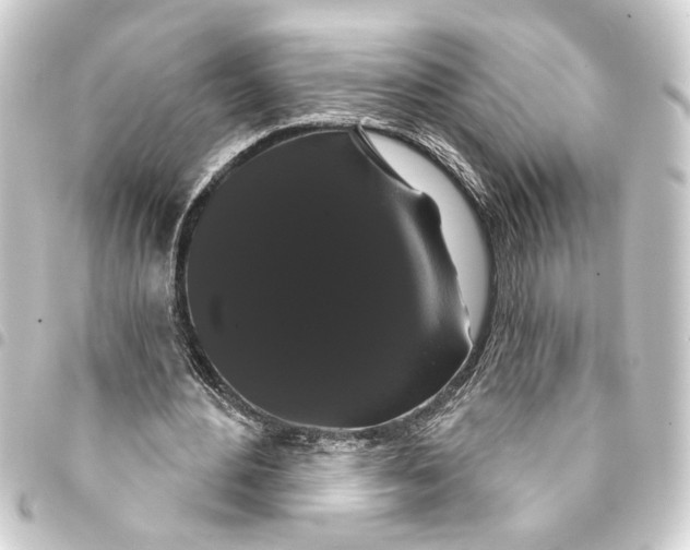 X0000093400484200711020938