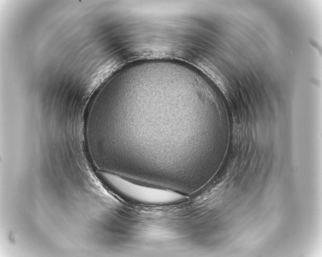 X0000093400485200711020938