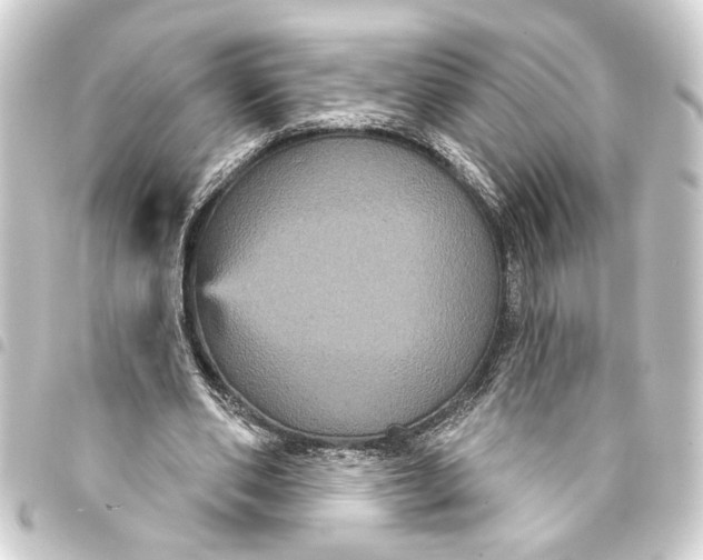 X0000093400486200711020938