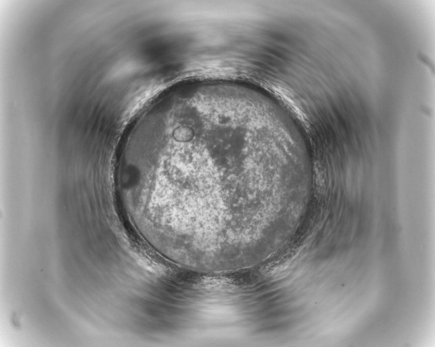 X0000093400487200711020938