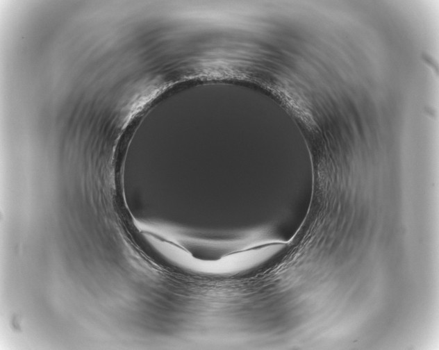 X0000093400488200711020938