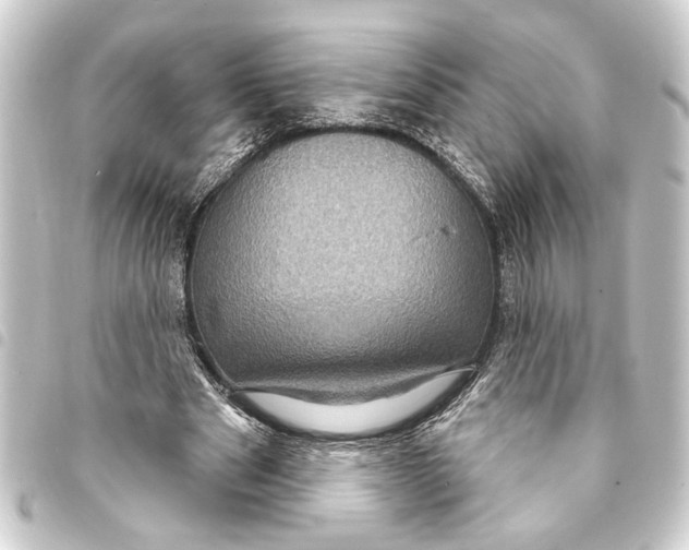 X0000093400489200711020938