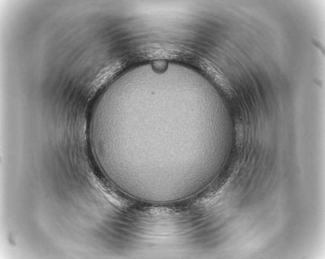 X0000093400490200711020938