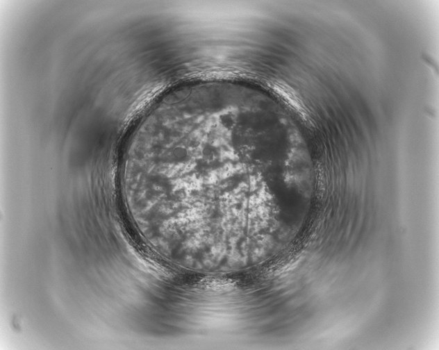 X0000093400491200711020938