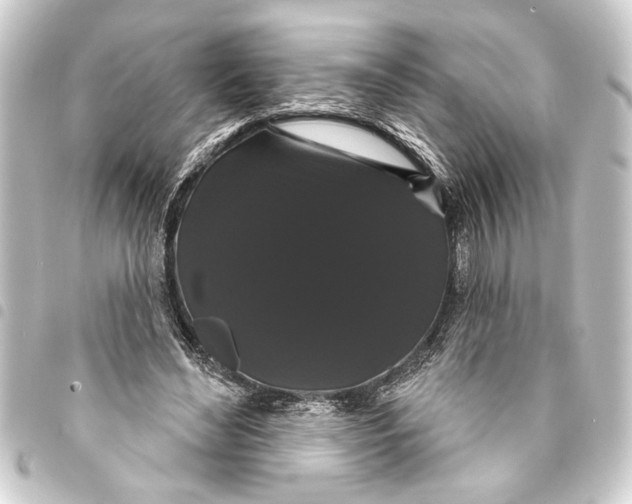 X0000093400492200711020938