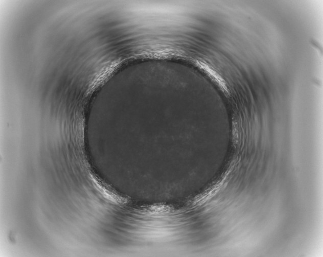 X0000093400493200711020938