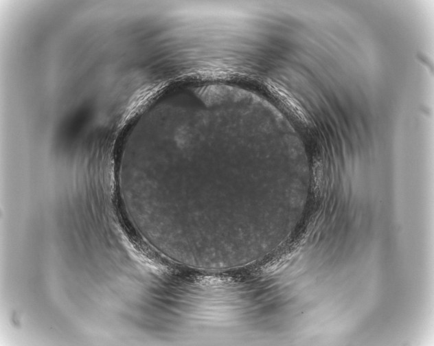 X0000093400494200711020938