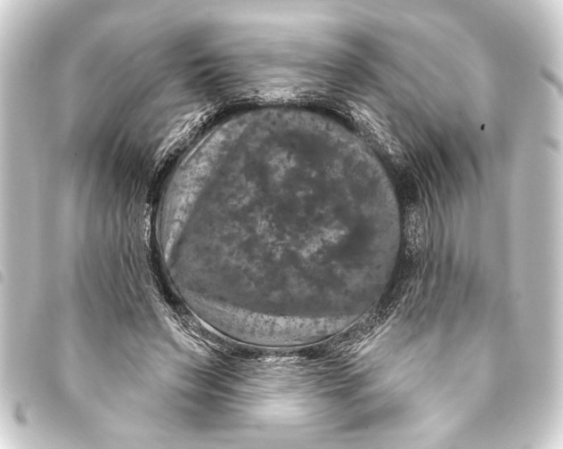 X0000093400495200711020938