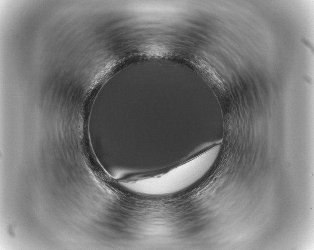 X0000093400496200711020938