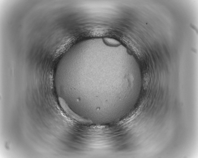 X0000093400497200711020938