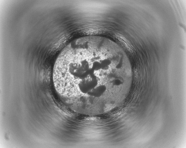 X0000093400499200711020938