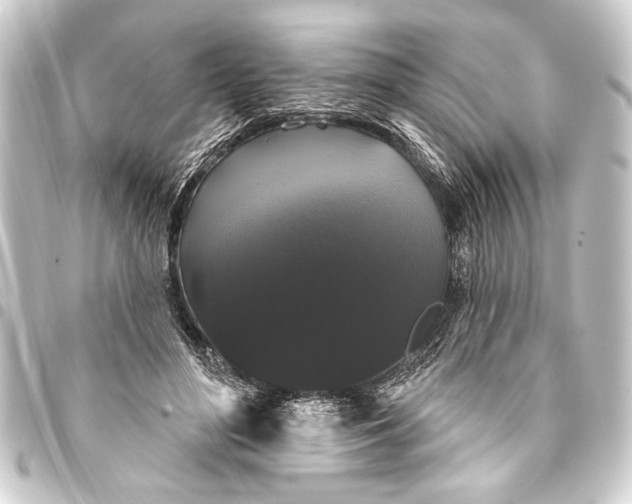 X0000093400500200711020938