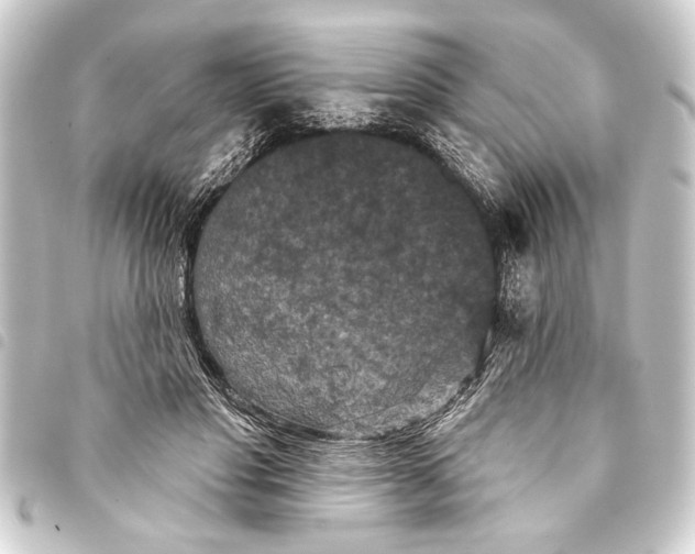 X0000093400501200711020938