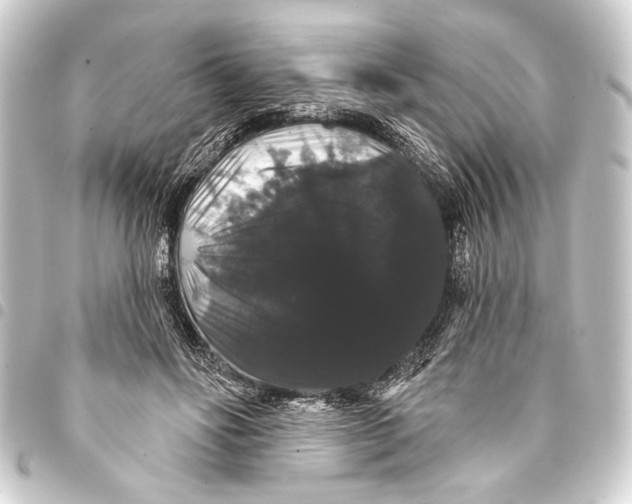 X0000093400502200711020938