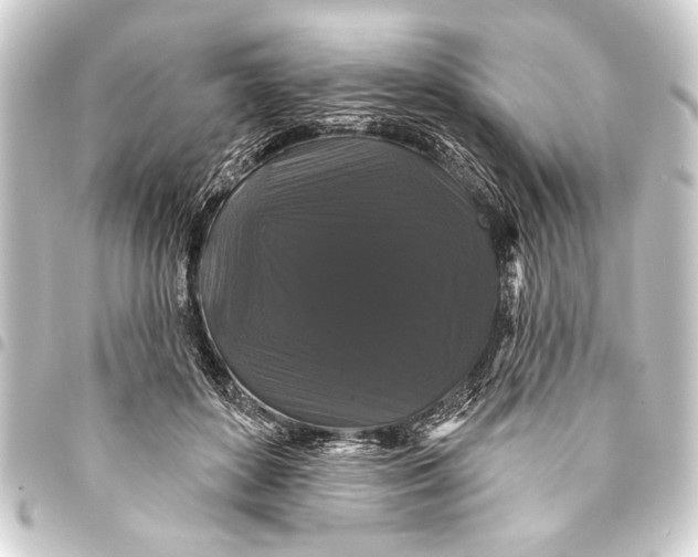 X0000093400504200711020937