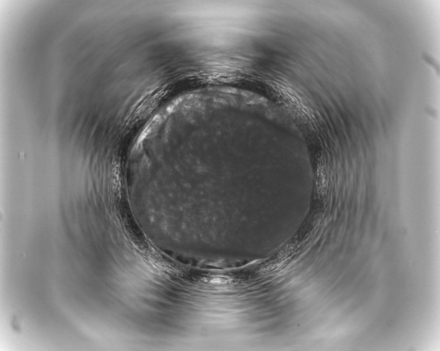 X0000093400506200711020937