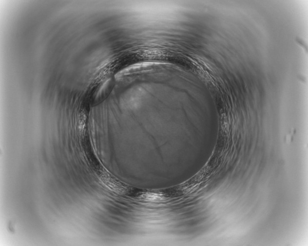 X0000093400507200711020937