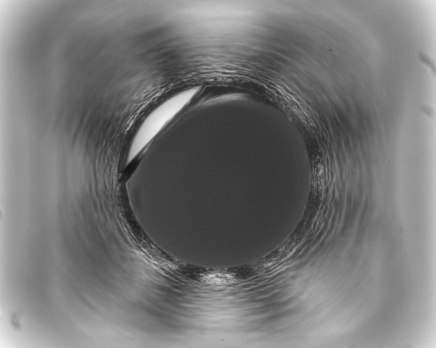 X0000093400508200711020937