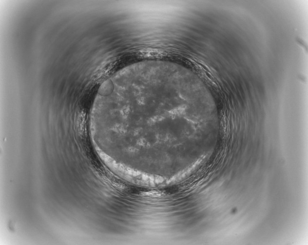 X0000093400511200711020937