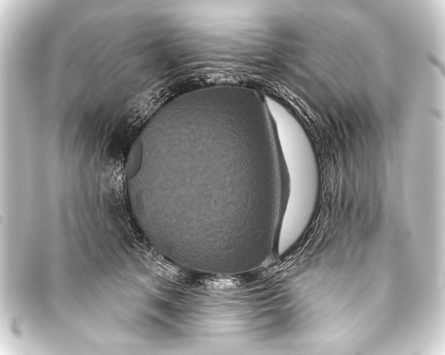 X0000093400513200711020937