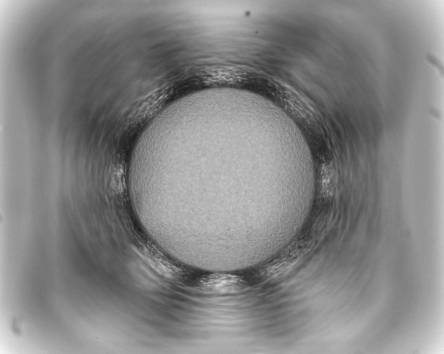 X0000093400514200711020937