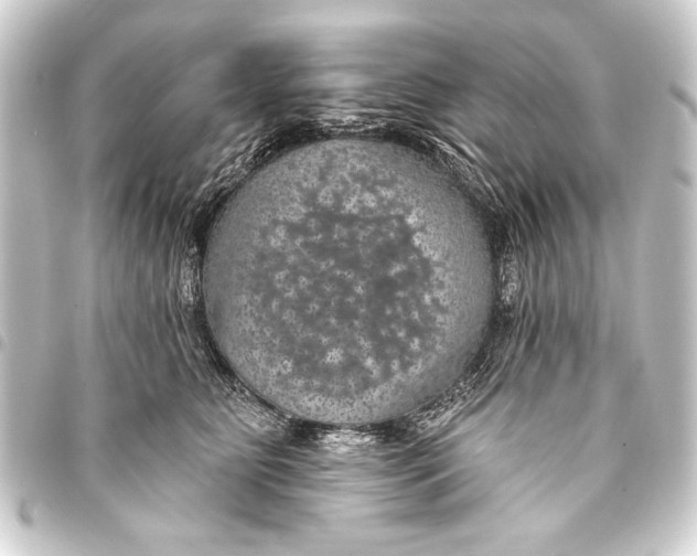 X0000093400515200711020937