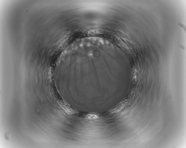 X0000093400519200711020937