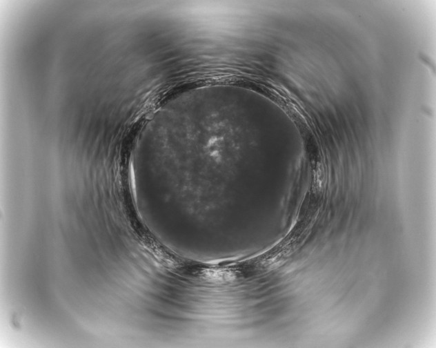 X0000093400520200711020937