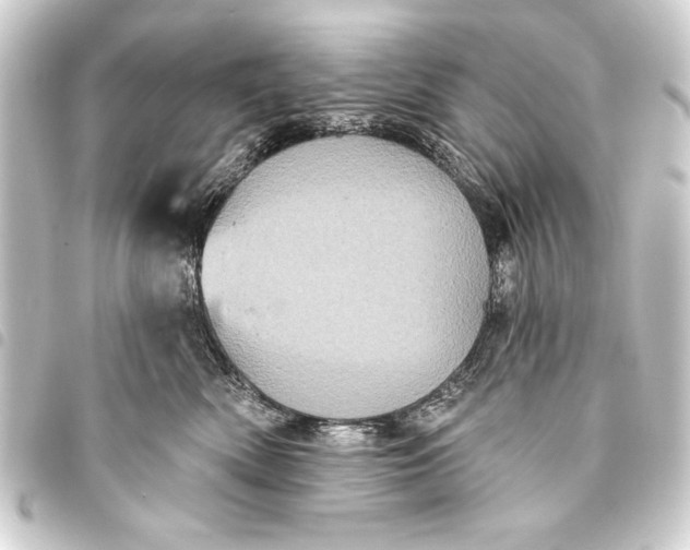 X0000093400522200711020937