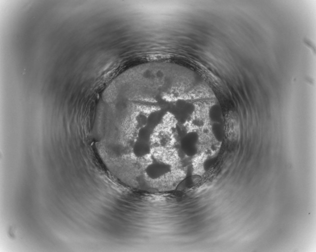 X0000093400523200711020937