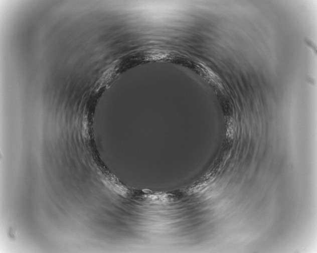 X0000093400524200711020937