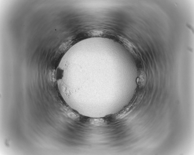 X0000093400525200711020937