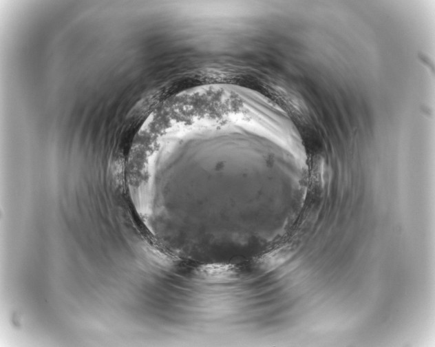 X0000093400526200711020937