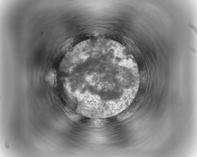 X0000093400527200711020937