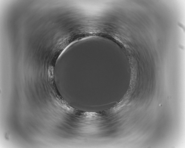 X0000093400528200711020937