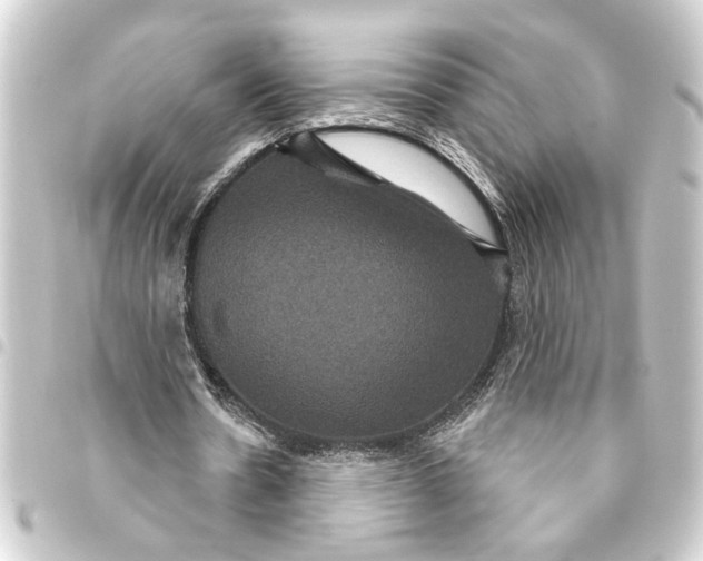 X0000093400530200711020937