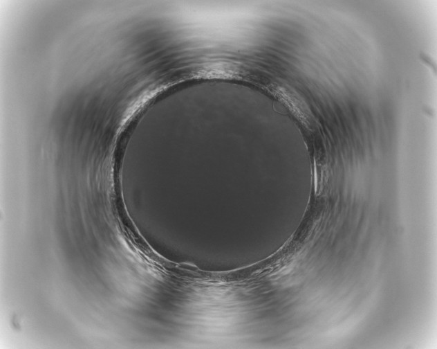 X0000093400531200711020937