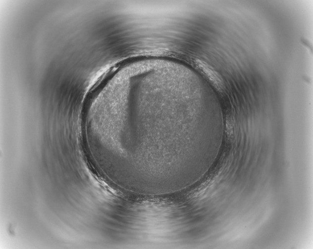 X0000093400532200711020937