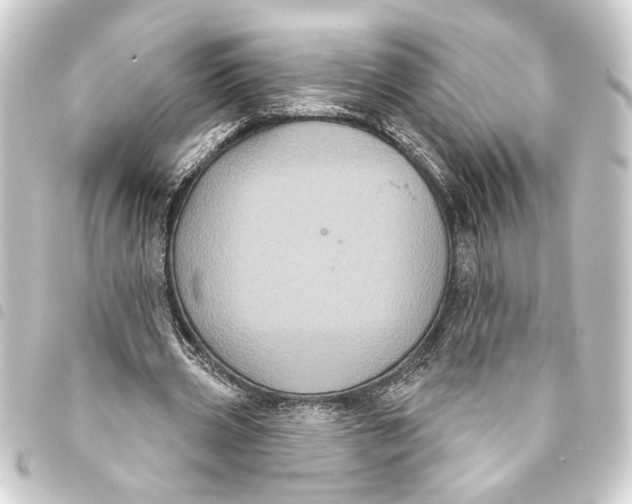 X0000093400533200711020937